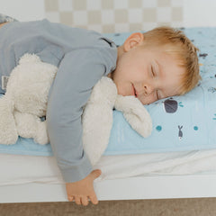 Rudie Baby leakproof bed guard styled